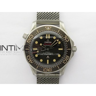 Seamaster 300 